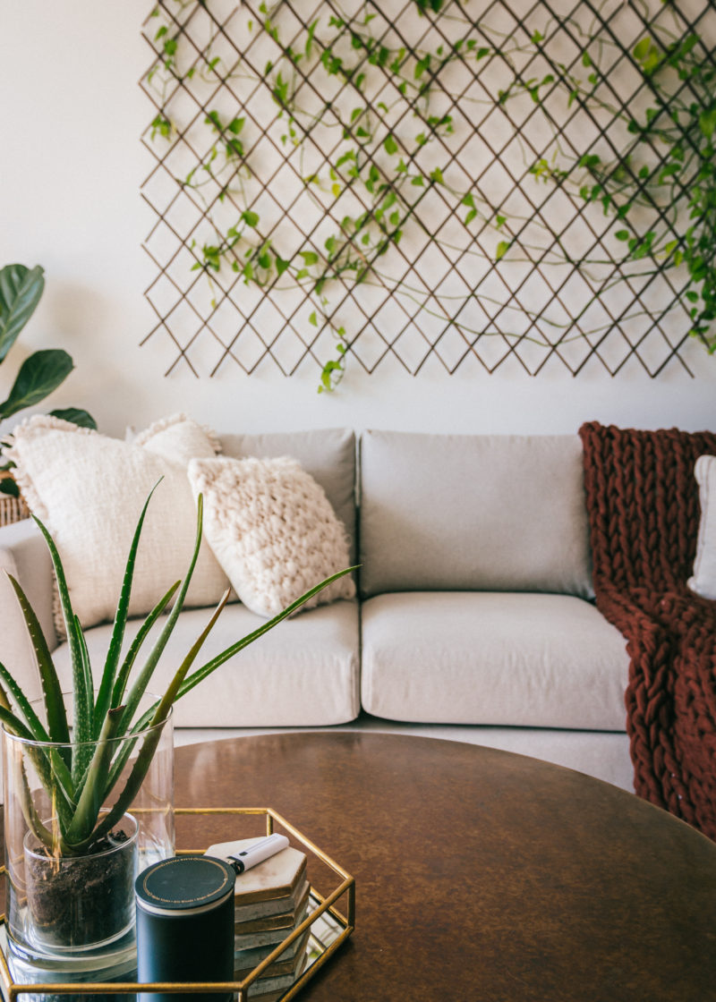 NYC Apartment Living Room - Melissa Frusco